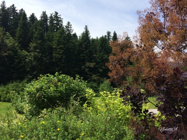 Gorski Kotar